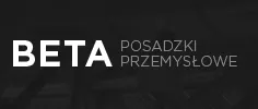 Strona www BETA SYSTEM Sp. z. o o.